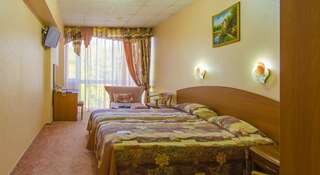 Гостиница Бриз отель Сочи Двухместный номер «Комфорт» с 1 кроватью или 2 отдельными кроватями-4